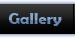 Gallery Gallery